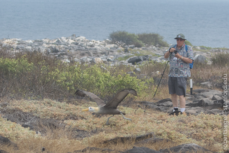 galapagos